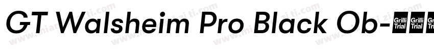 GT Walsheim Pro Black Ob字体转换